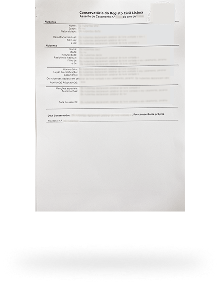 Avrupa tipinde ehliyet (talep üzerine, değişim sonrası) 